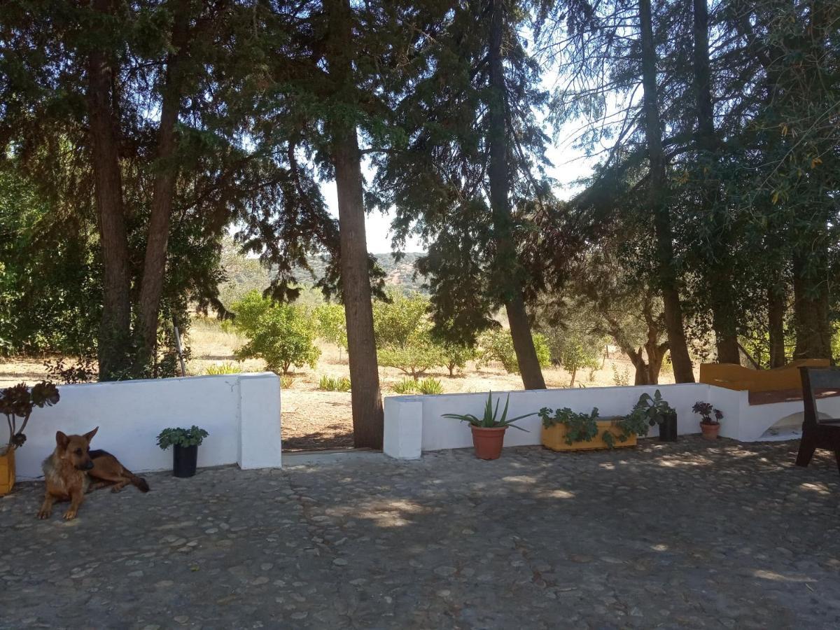 Monte Da Samarra Villa Avis Exterior photo