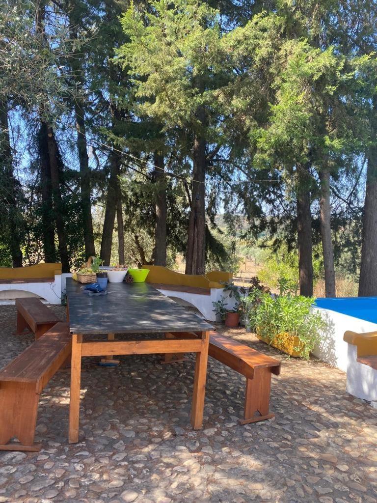 Monte Da Samarra Villa Avis Exterior photo